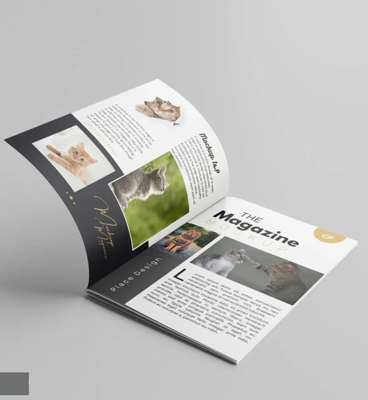 Magazine